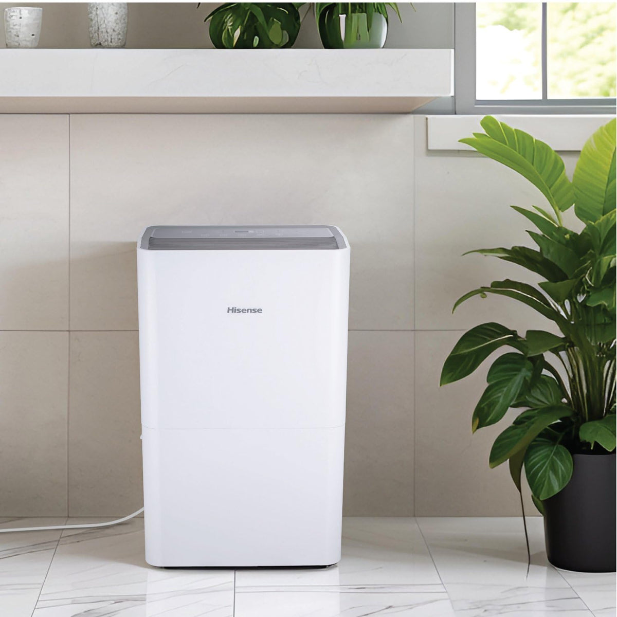 50-Pint Portable Dehumidifier W32389