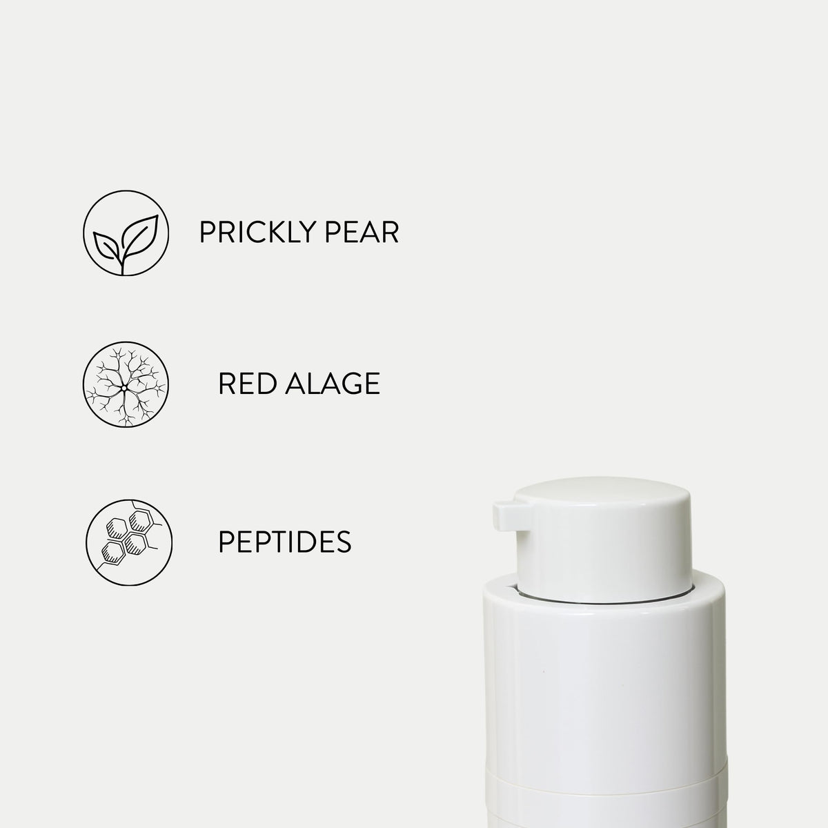 Anti-Aging Face Cream with Peptides A3654