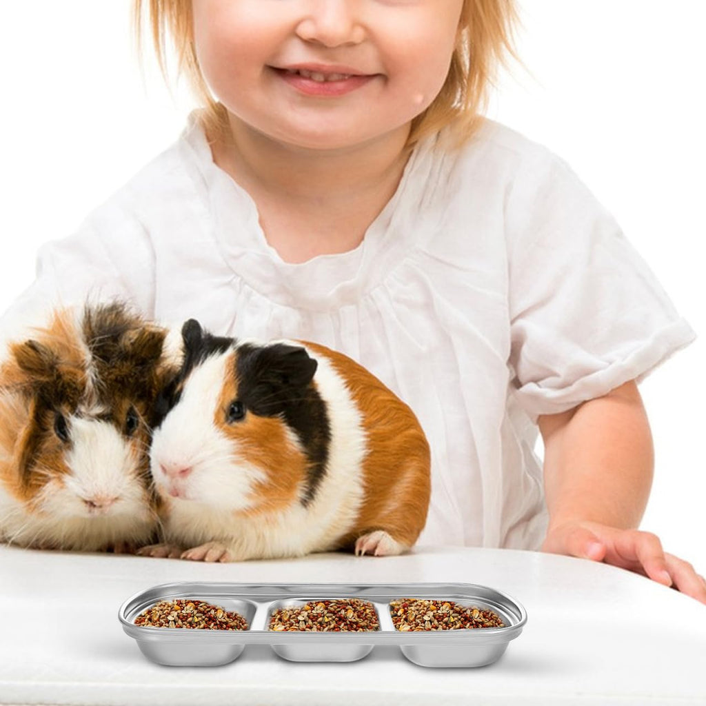Stainless Multi-Grid Divided Feeding Tray 2 Pack D301