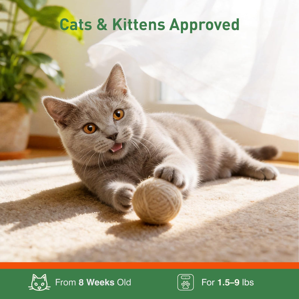 6 Pack Flea and Tick Prevention for Cats A7362