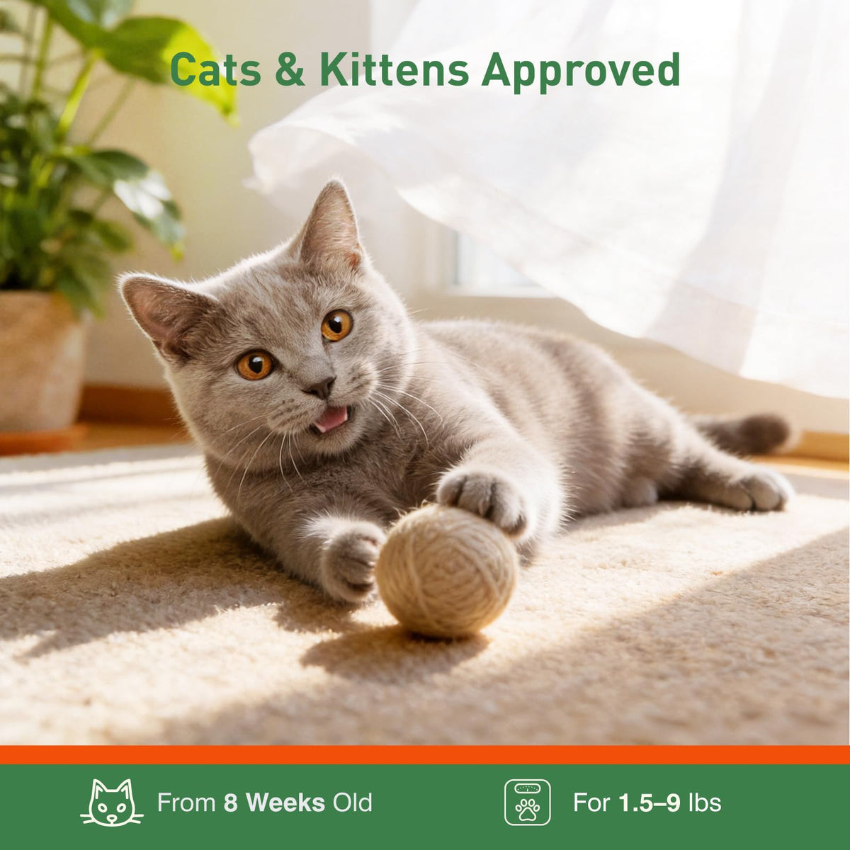 6 Pack Flea and Tick Prevention for Cats A7362