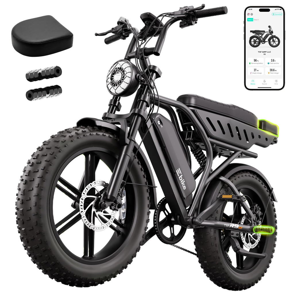 Electric Bike 48V 15Ah Battery 1500W Peak Motor 20 * 4.0 Fat Tire N53241
