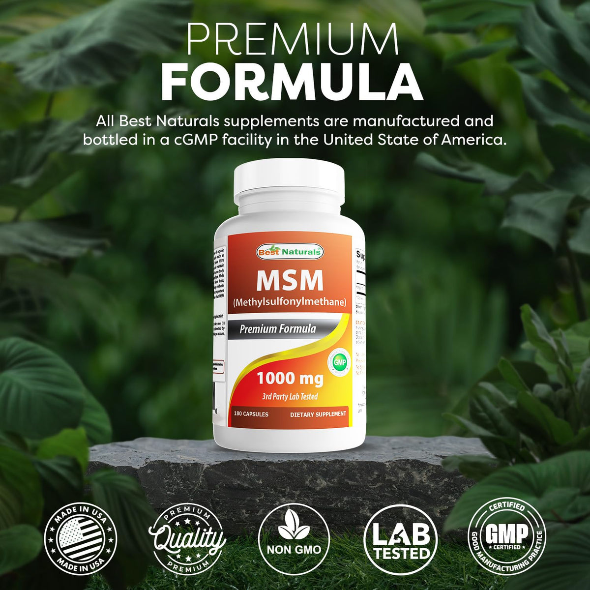 MSM 1000 mg 180 Capsules S10702