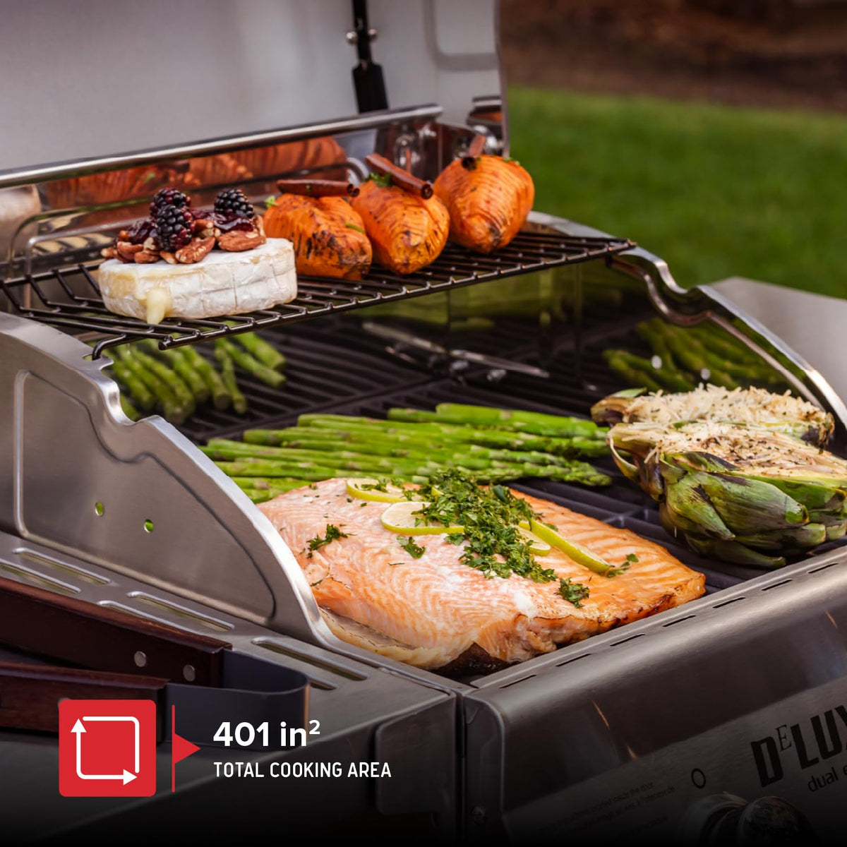2 Burner Gas Grill with Foldable Shelves D18679