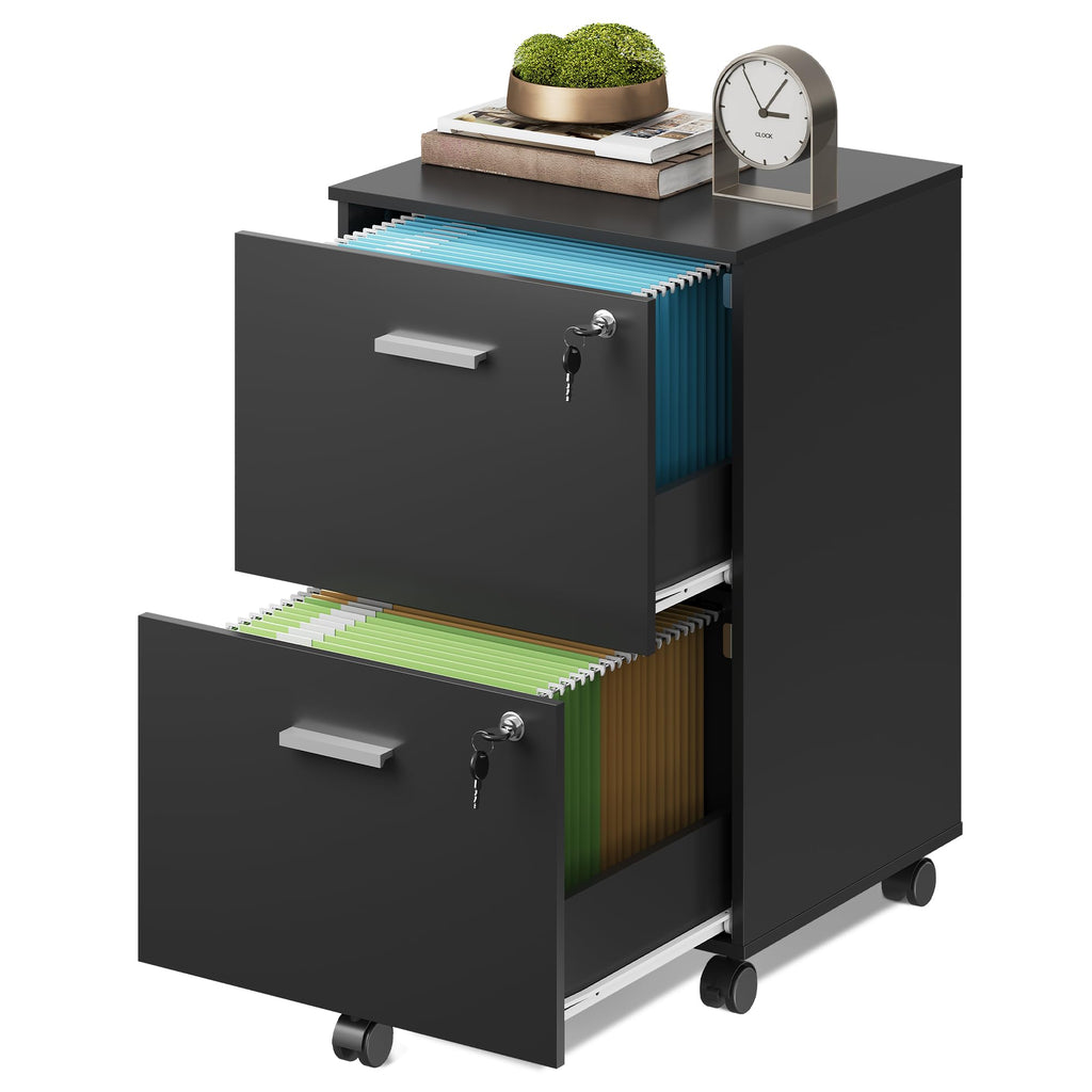 2 Drawer Wood File Cabinet with Lock, Black Y353975