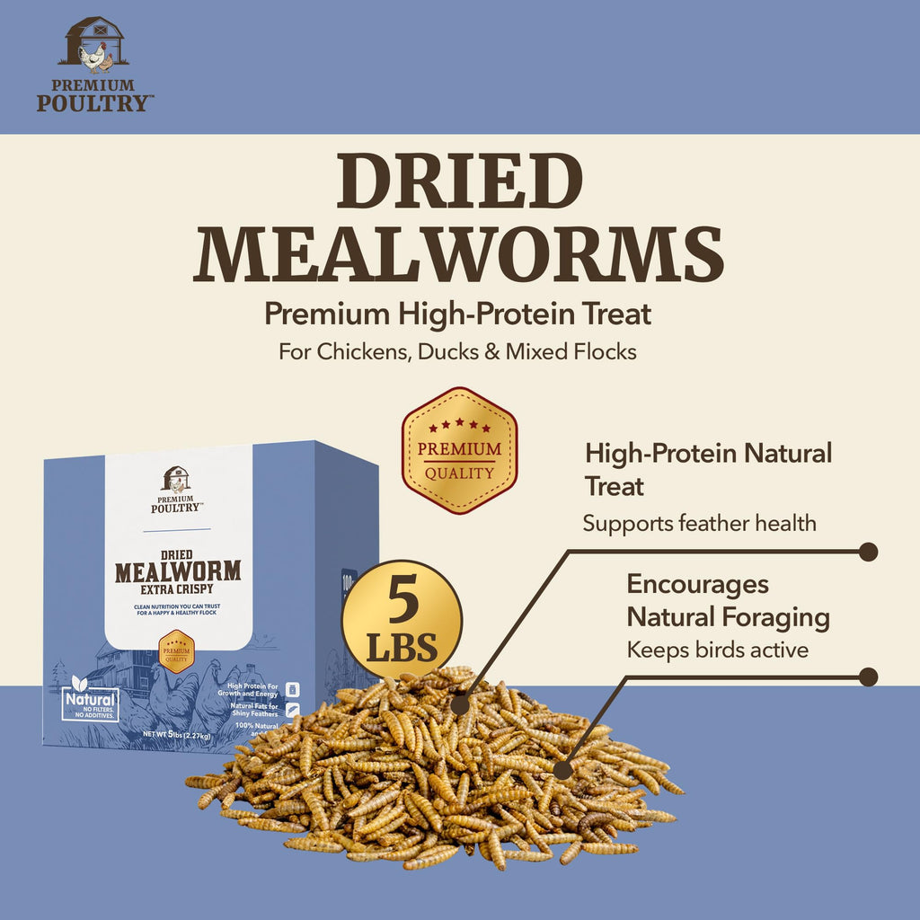 Mealworms for Chickens & Wild Birds, 5lb, 4-Pack M730115