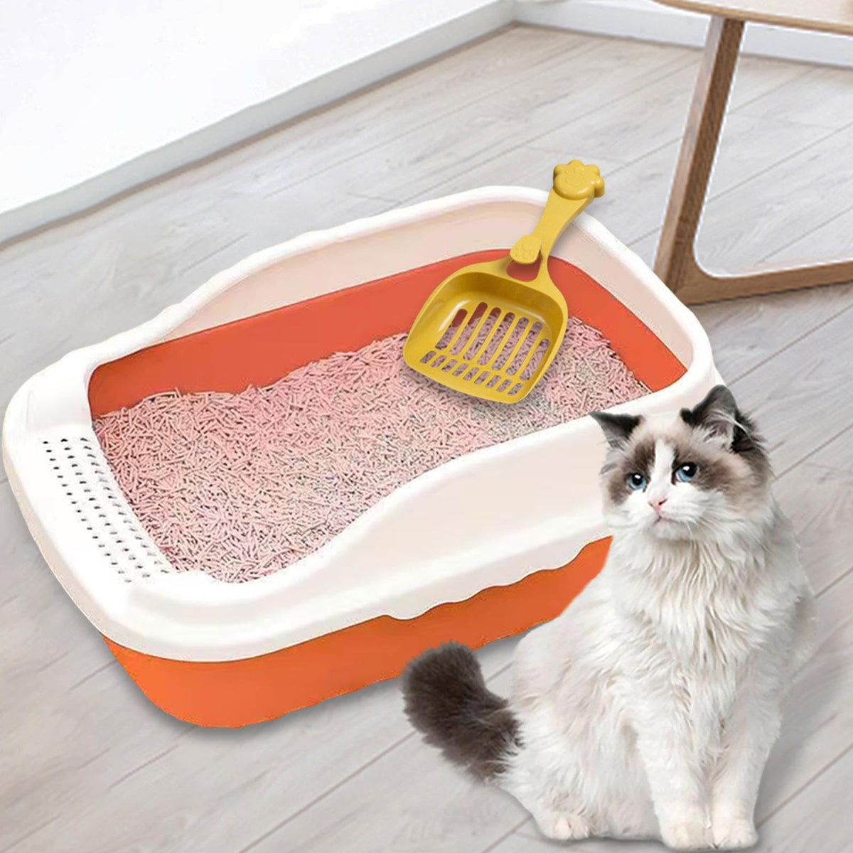 Orange Cat Litter Box with Sifting Spoon Q566