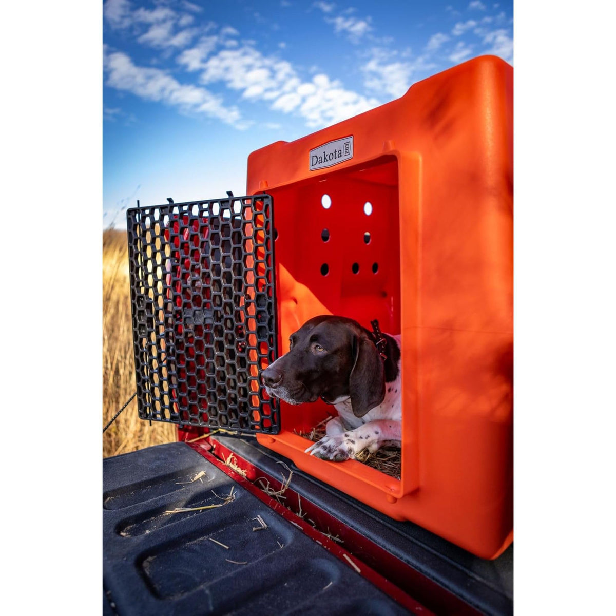 Orange Large Dog Crate R824578