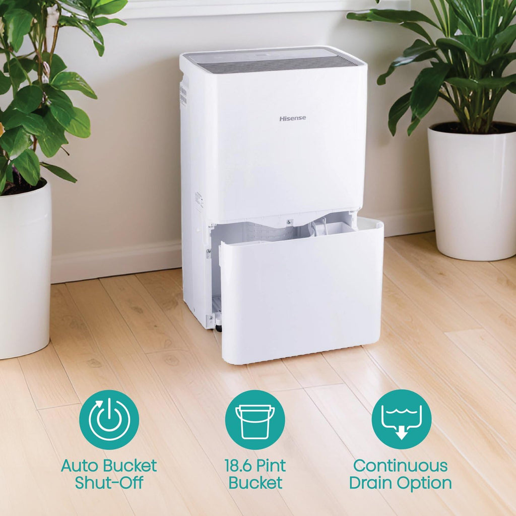 50-Pint Portable Dehumidifier W32389