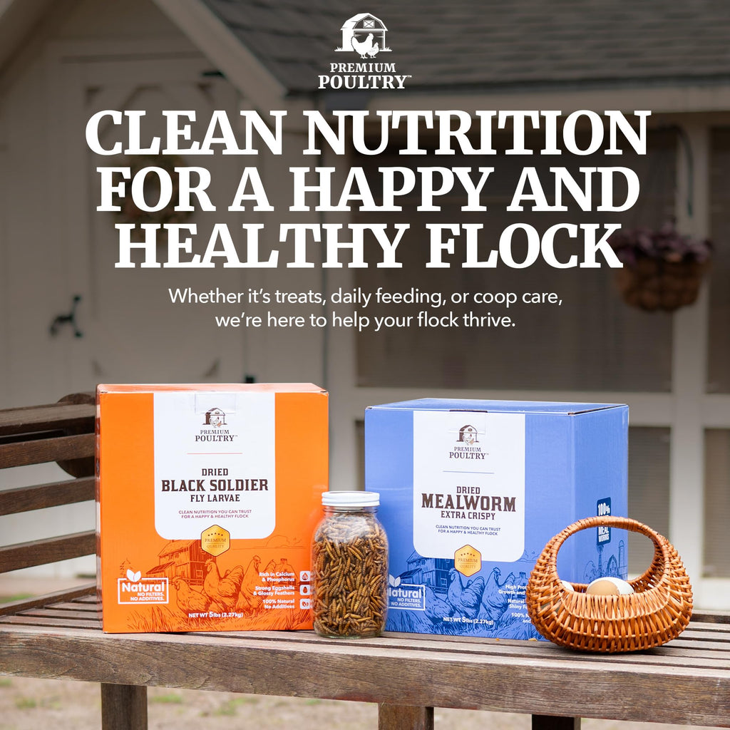 Mealworms for Chickens & Wild Birds, 5lb, 4-Pack M730115