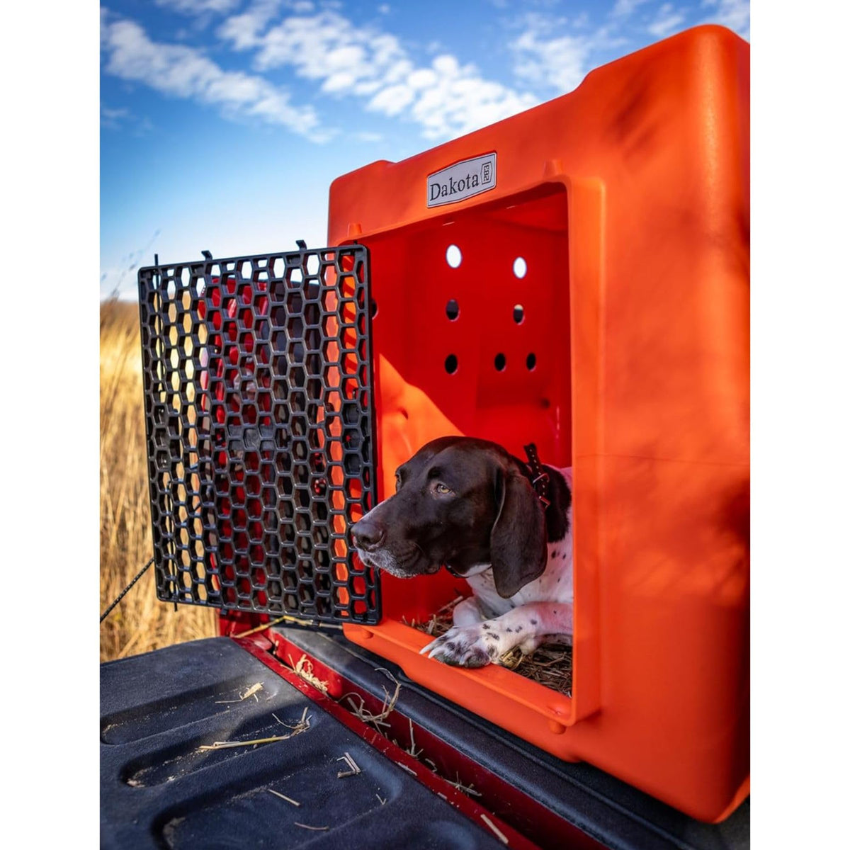 Orange Large Dog Crate R824578