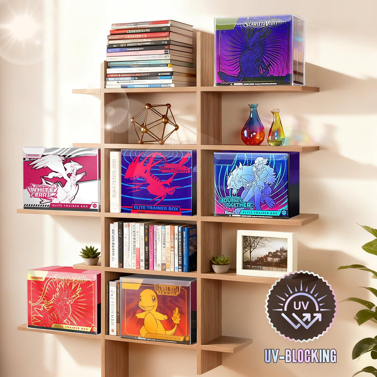UV-Blocking Plastic Display Case E168