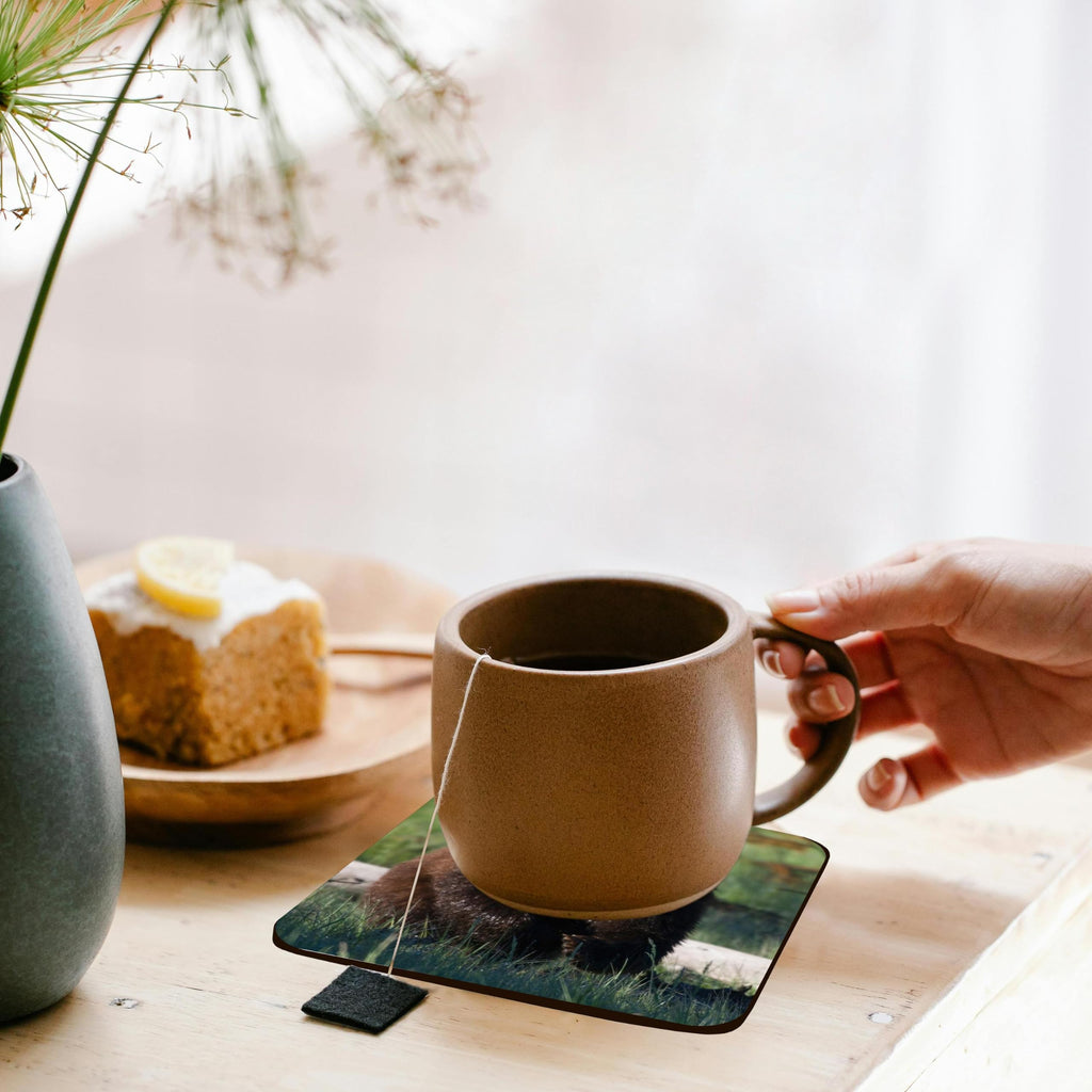 Set of 8 Cork Coasters Y48581