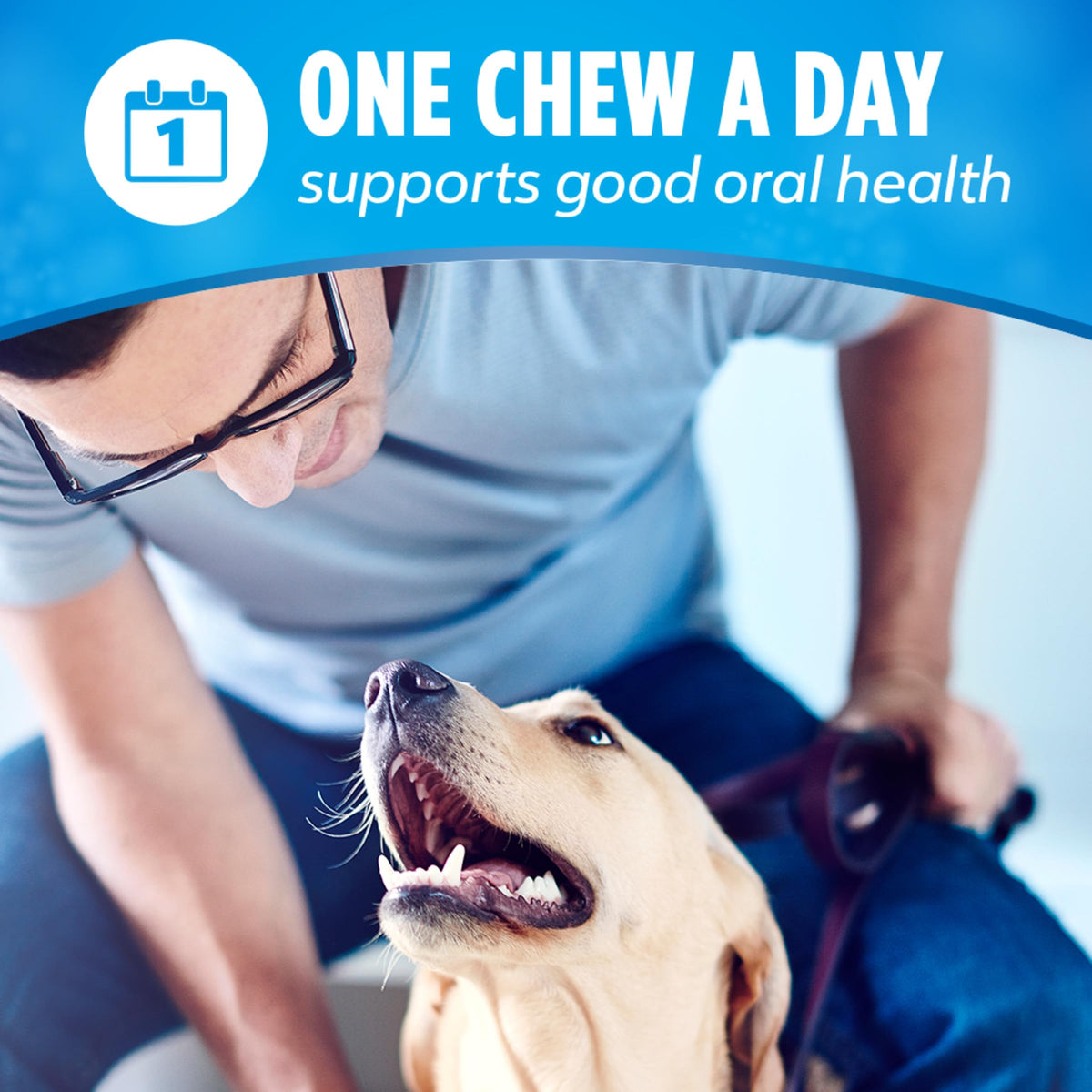 Daily Oral Care Dog Treats 40 ct Q95830