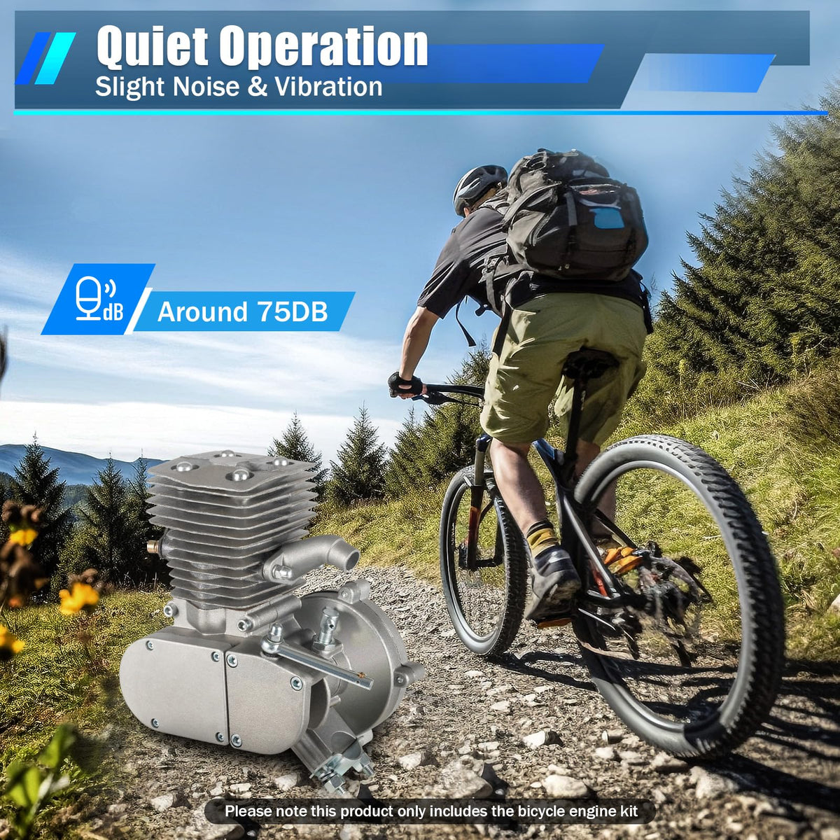 100cc 2 Stroke Bicycle Engine Kit P1731