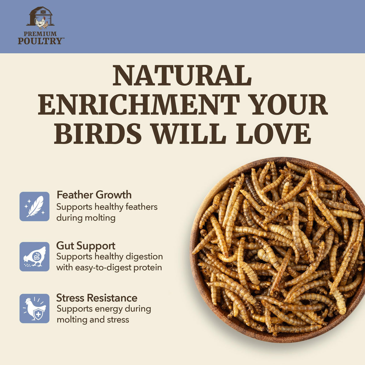 Mealworms for Chickens & Wild Birds, 5lb, 4-Pack M730115