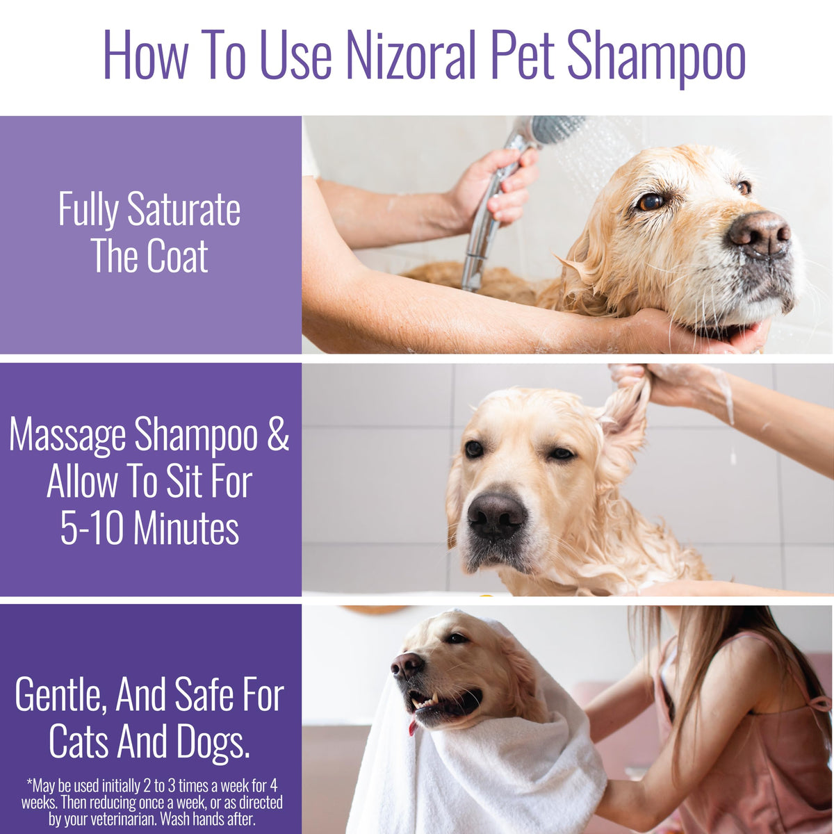 16 Oz Chlorhexidine Pet Shampoo U79574