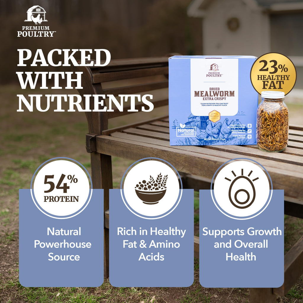 Mealworms for Chickens & Wild Birds, 5lb, 4-Pack M730115