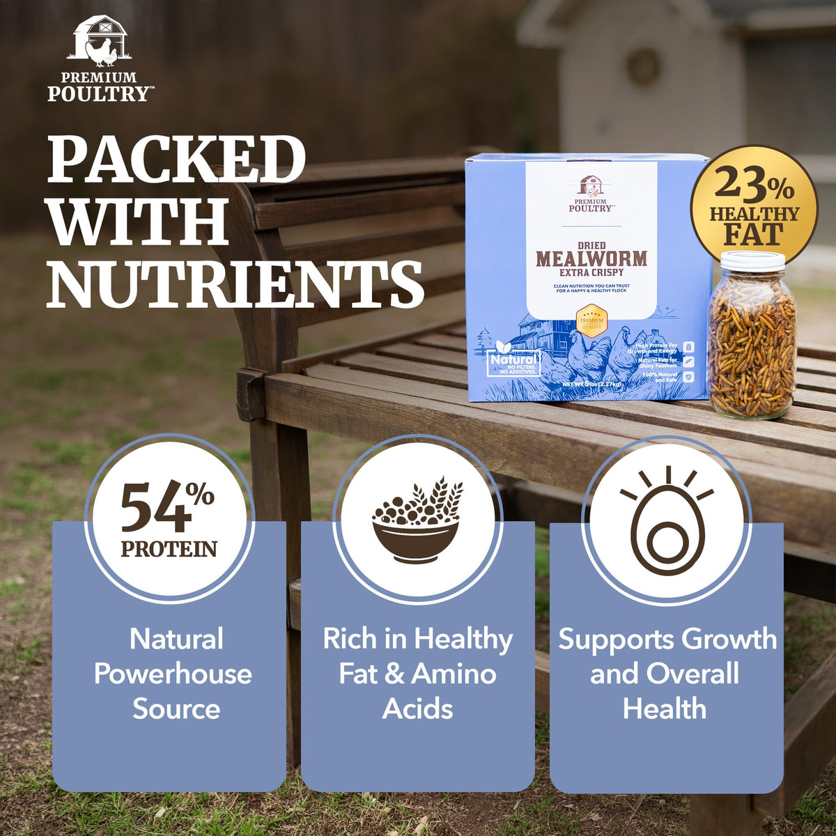 Mealworms for Chickens & Wild Birds, 5lb, 4-Pack M730115