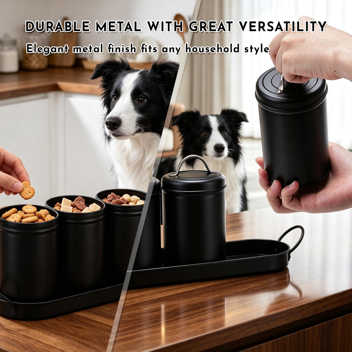 Airtight Dog Treat Container Set with Lid and Tray R152586