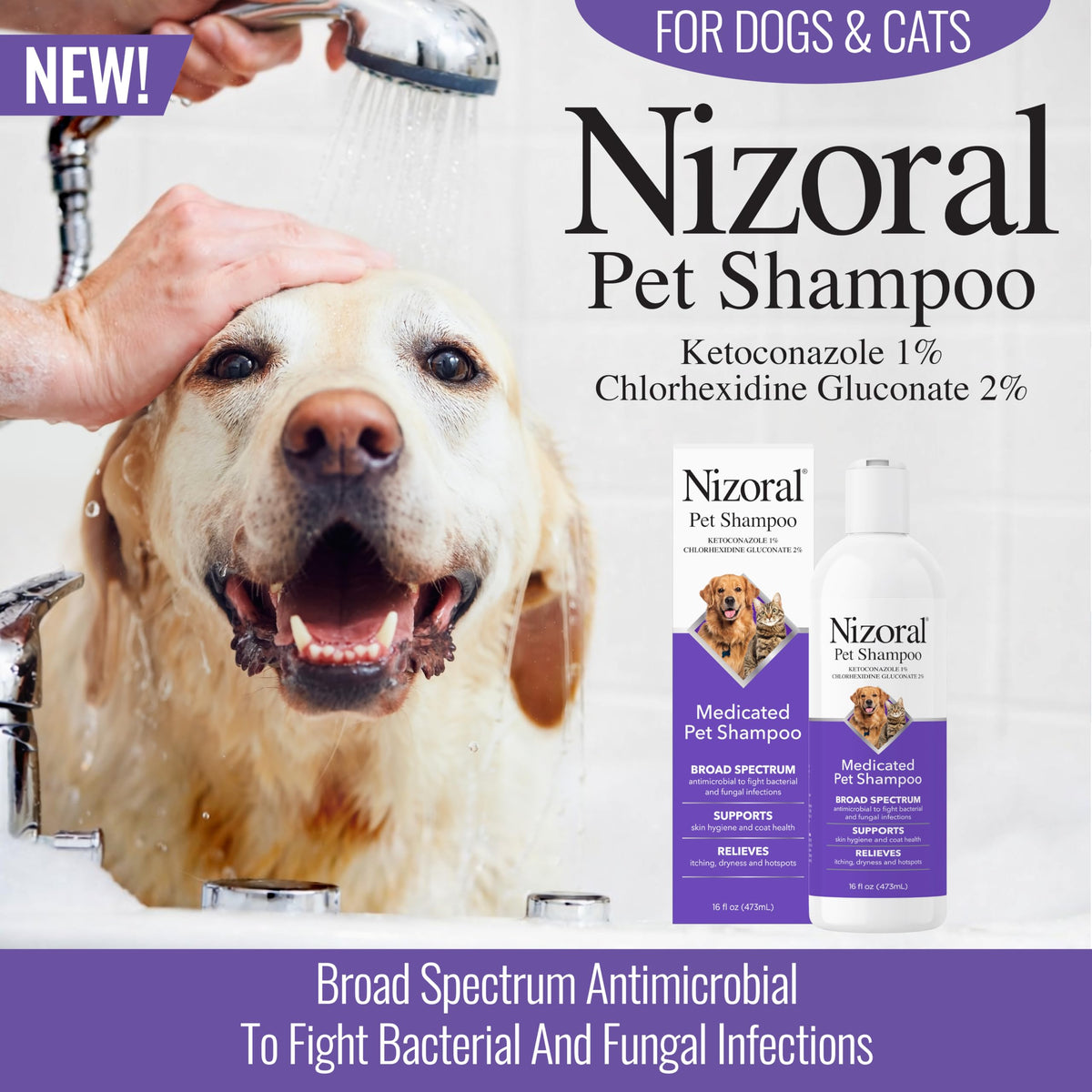 16 Oz Chlorhexidine Pet Shampoo U79574