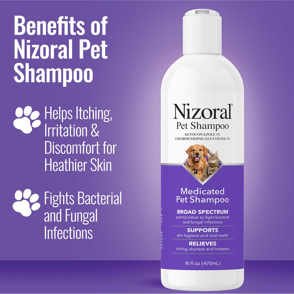 16 Oz Chlorhexidine Pet Shampoo U79574