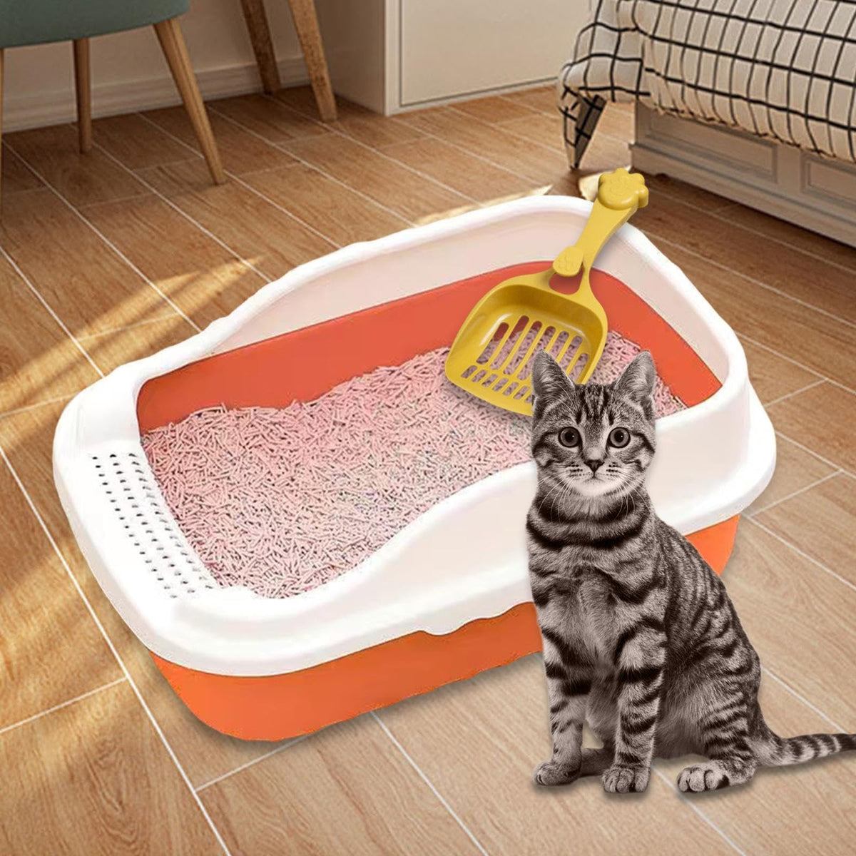 Orange Cat Litter Box with Sifting Spoon Q566