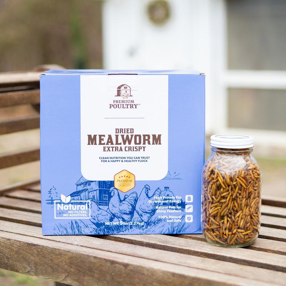 Mealworms for Chickens & Wild Birds, 5lb, 4-Pack M730115