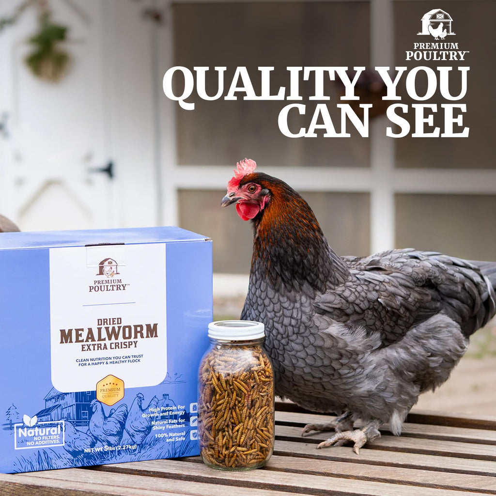Mealworms for Chickens & Wild Birds, 5lb, 4-Pack M730115
