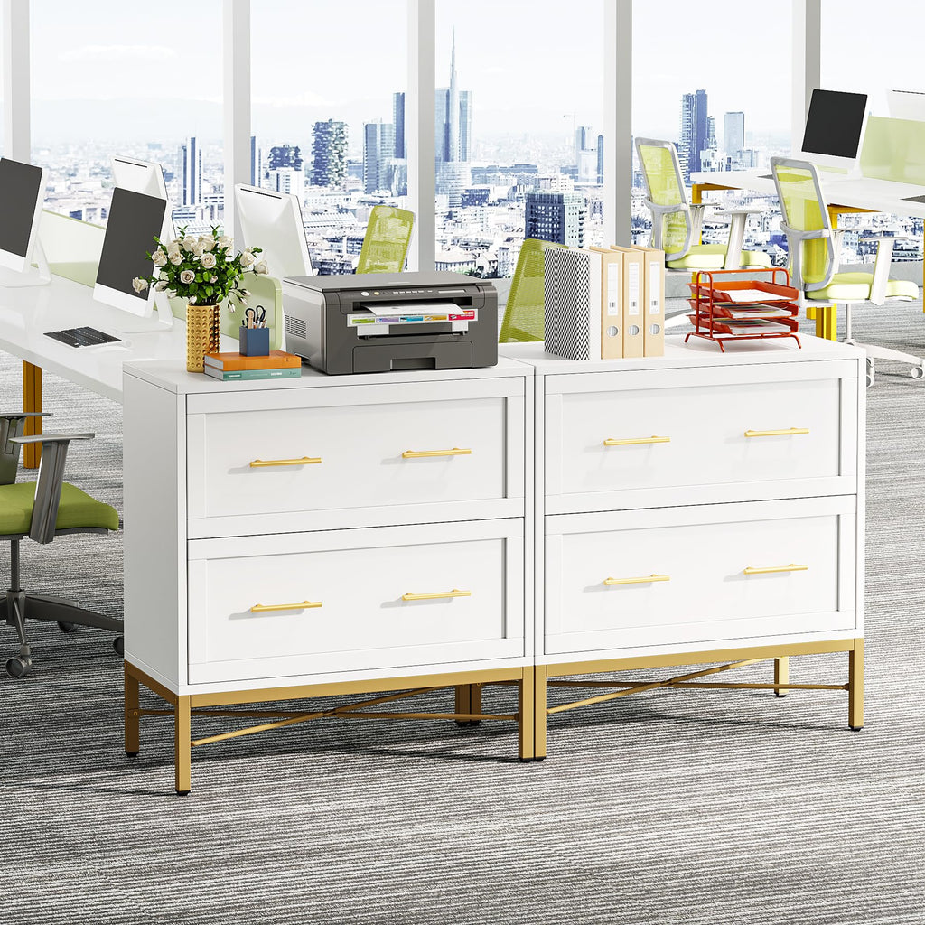 White 2 Drawer Wood File Cabinet D356001