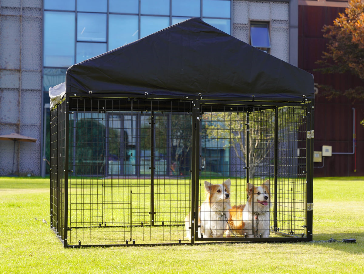 Large Outdoor Dog Enclosure with Roof H3968